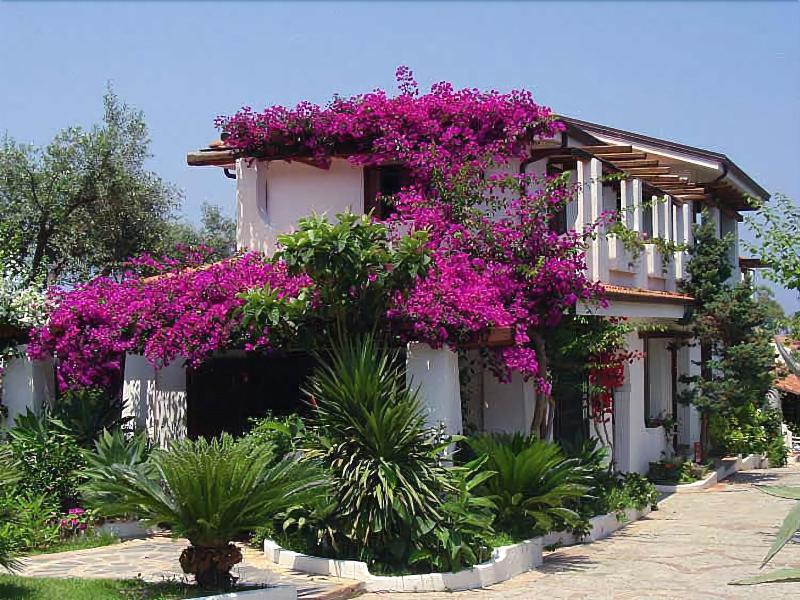 Villaggio La Pizzuta - Genel