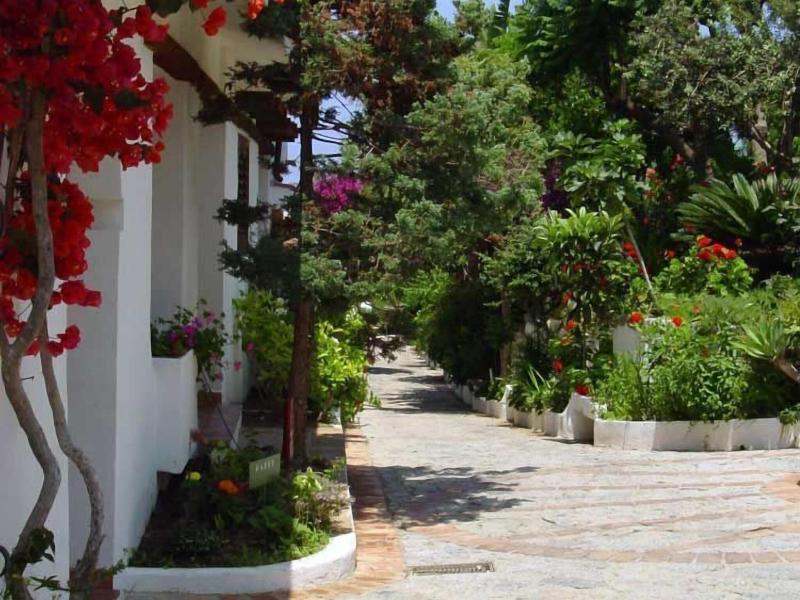 Villaggio La Pizzuta - Teras