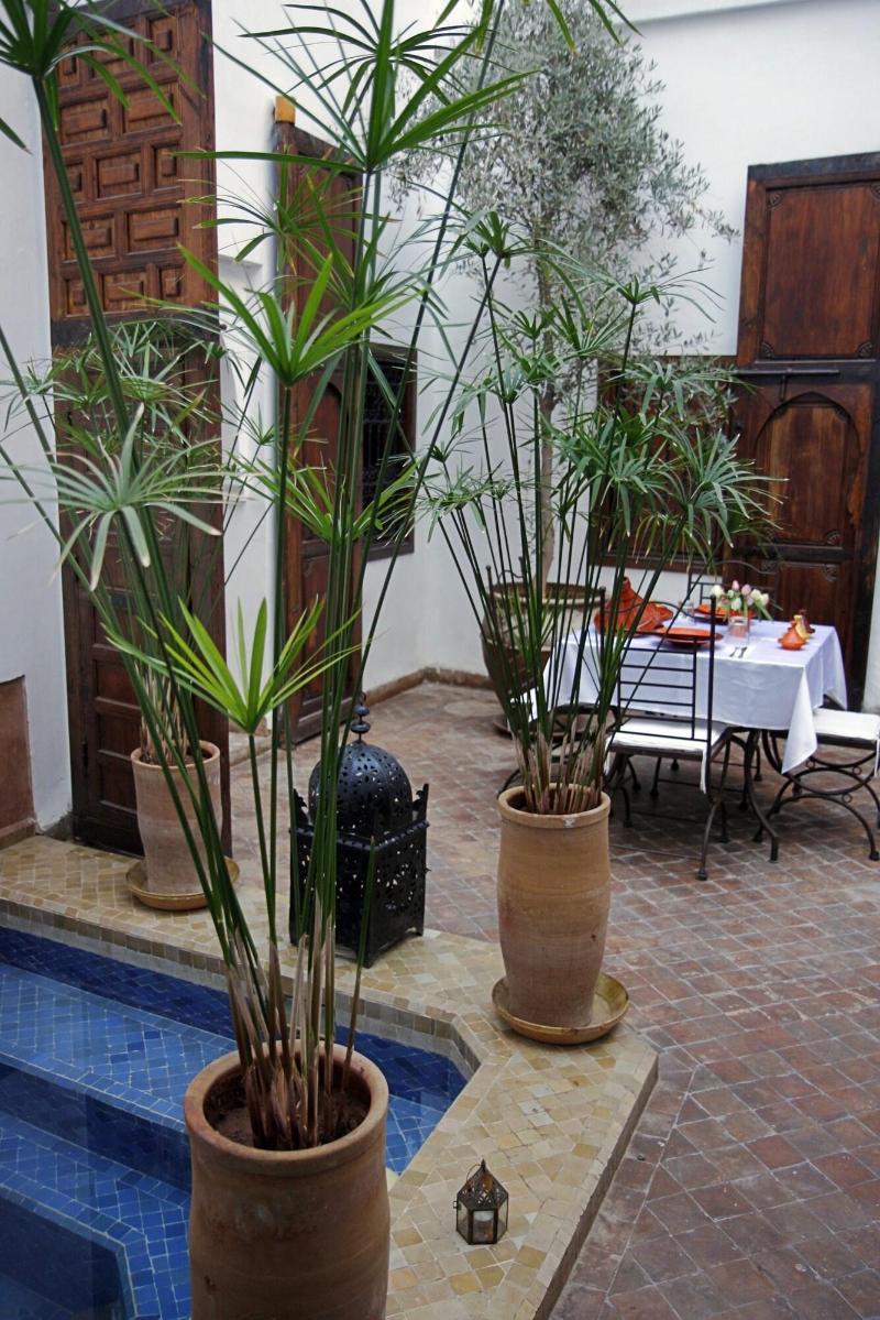 Riad Elixir - Lobi