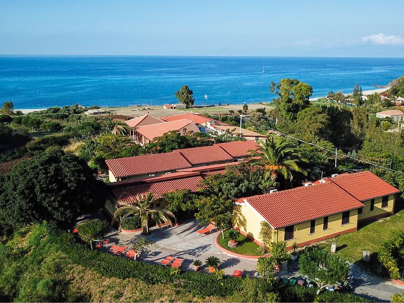 New Paradise - Genel