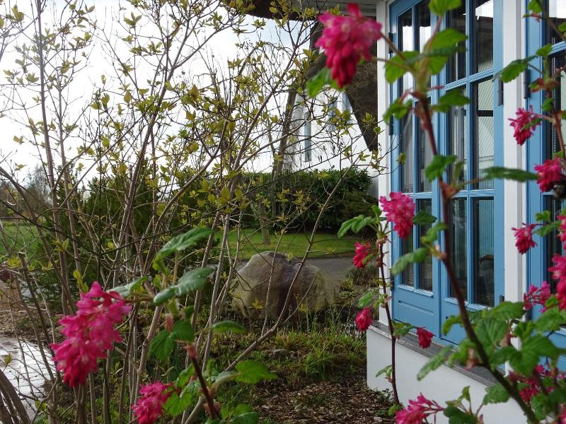 Wreecher Hof - Genel
