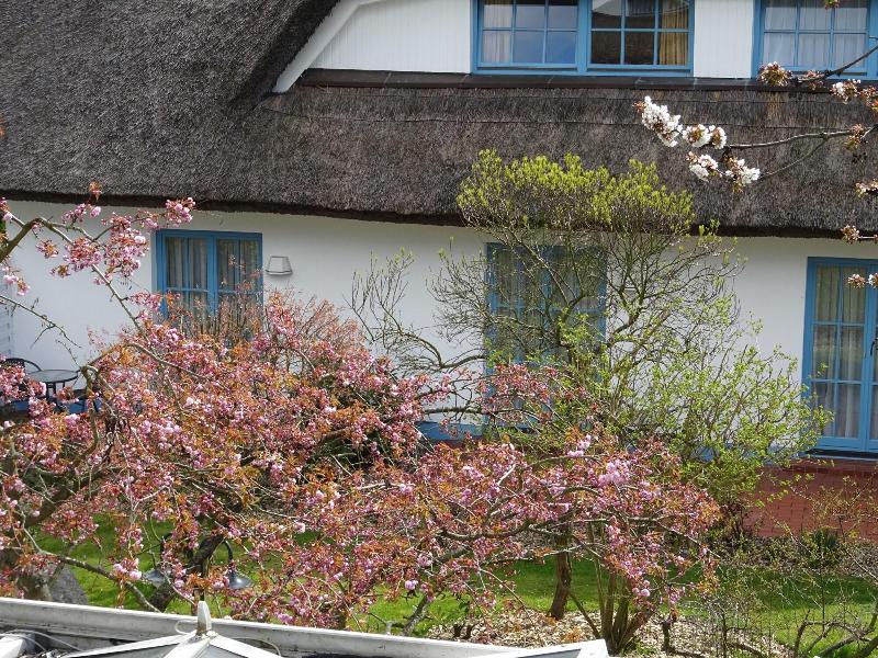 Wreecher Hof - Genel