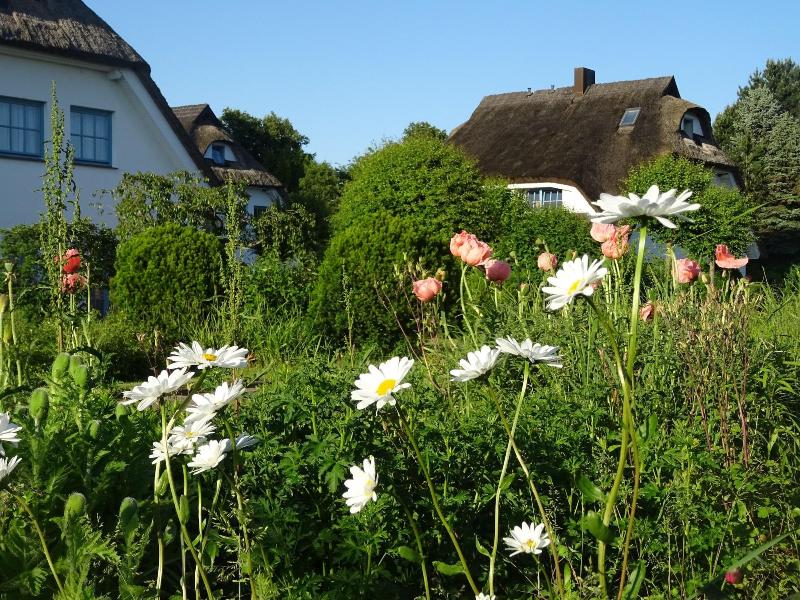 Wreecher Hof - Genel