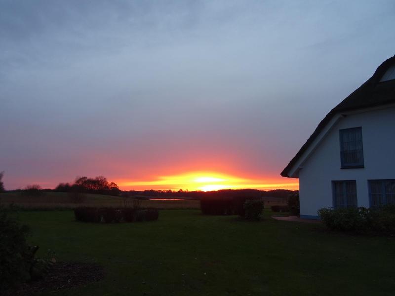 Wreecher Hof - Genel