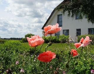 Wreecher Hof fotoÄŸrafÄ±