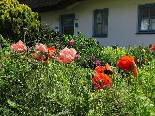 Wreecher Hof fotoÄŸrafÄ±