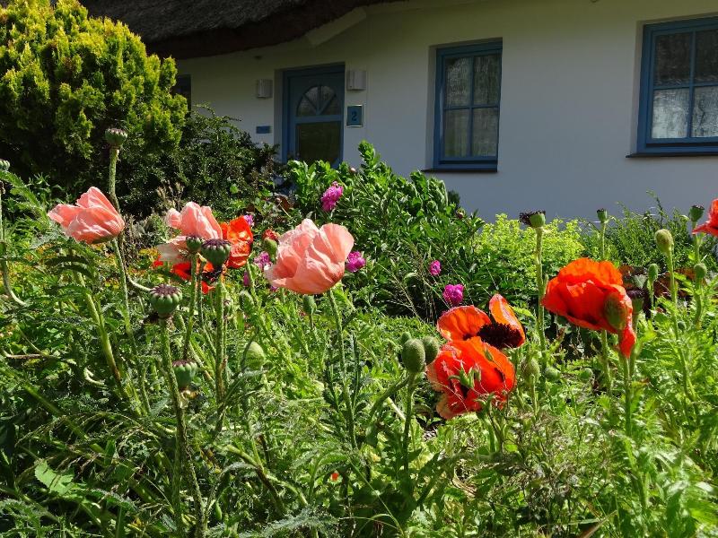 Wreecher Hof - Genel