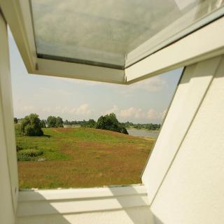 Wreecher Hof fotoÄŸrafÄ±