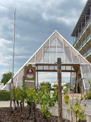Pyramide fotoÄŸrafÄ±