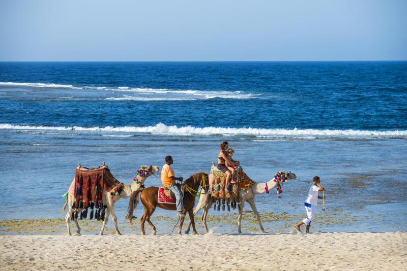 Concorde Moreen Beach Resort & Spa - Aktivite