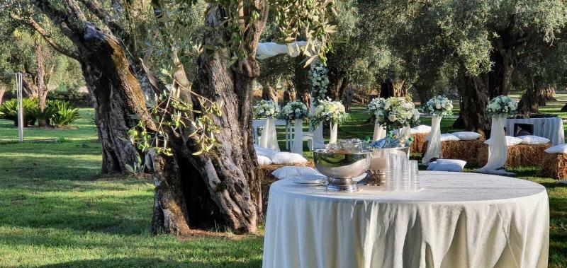 Uliveto Principessa Park - Genel