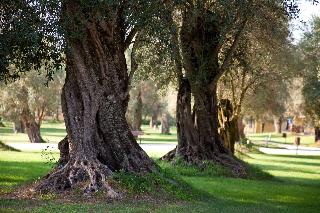 Uliveto Principessa Park fotoÄŸrafÄ±
