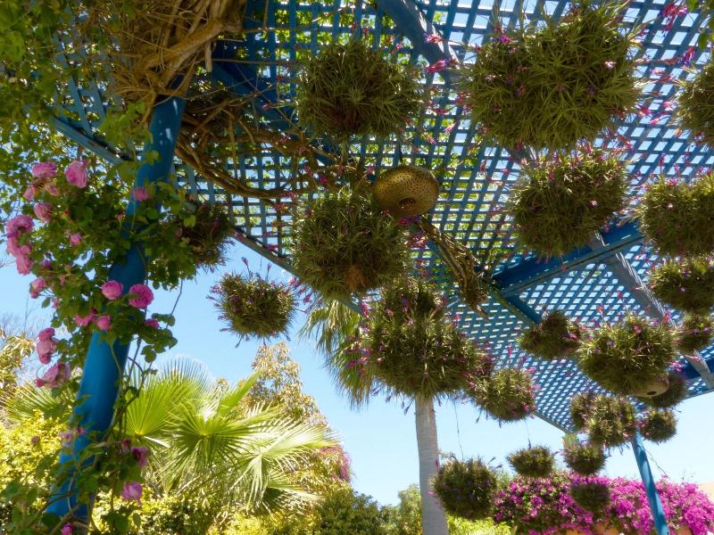 Villa Mandarine - Genel