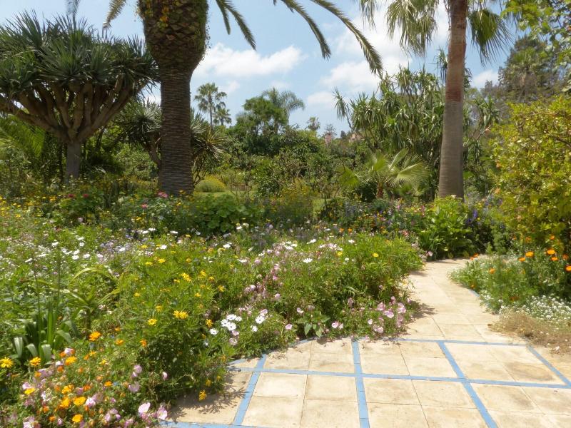 Villa Mandarine - Genel