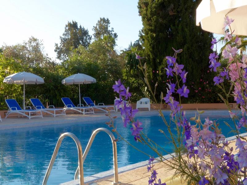 Villa Mandarine - Genel