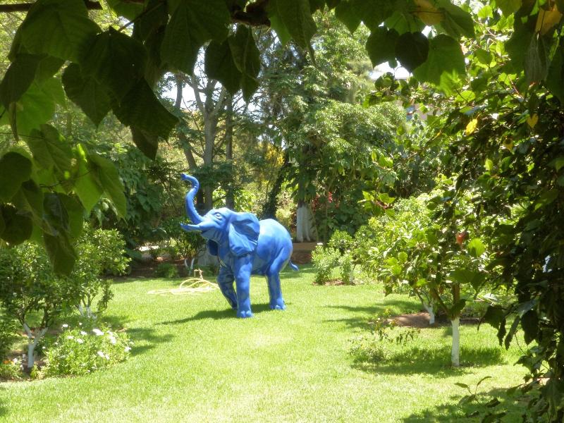 Villa Mandarine - Genel