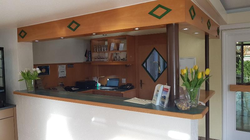 H41 Inn Hotel Garni Freiburg - Lobi