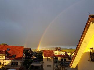 H41 Inn Hotel Garni Freiburg otel fotoğrafı