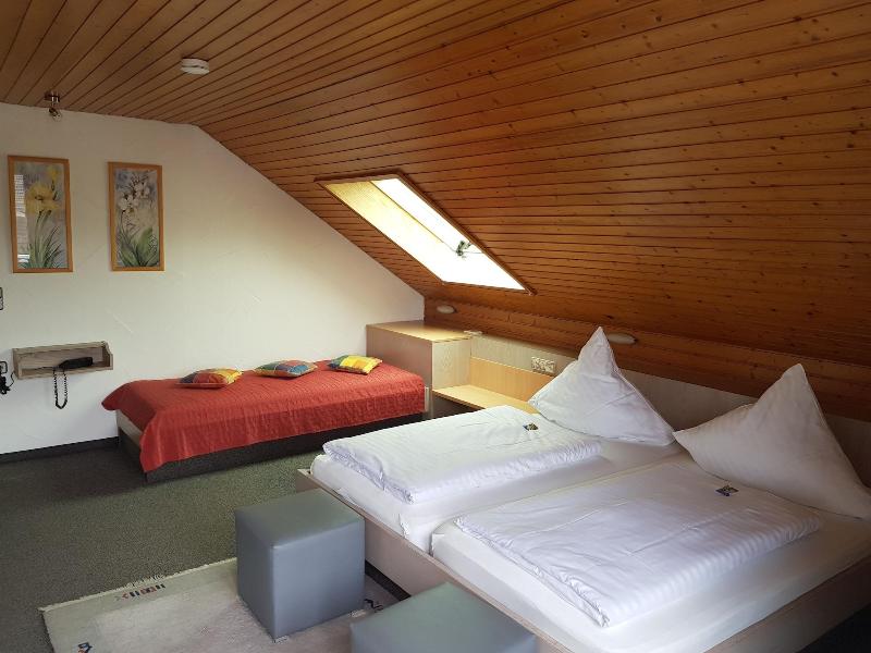 H41 Inn Hotel Garni Freiburg - Oda