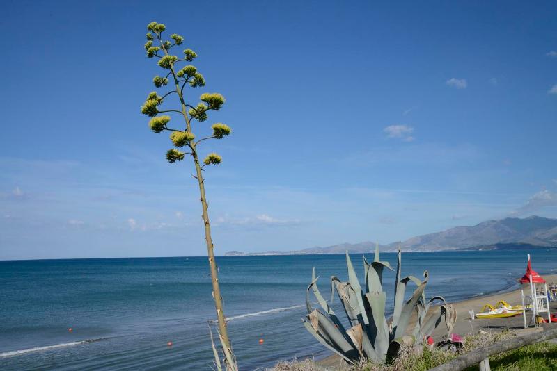 Baia Domizia Camping Village - Plaj