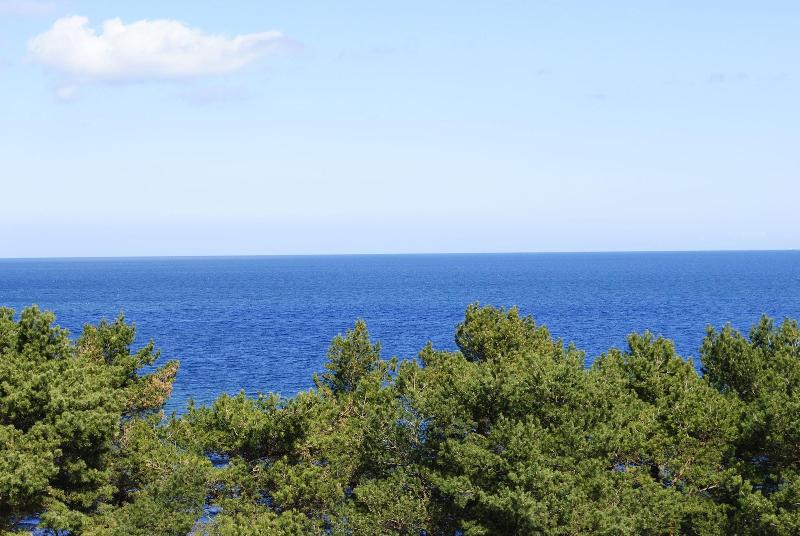 Rugard Strandhotel - Genel