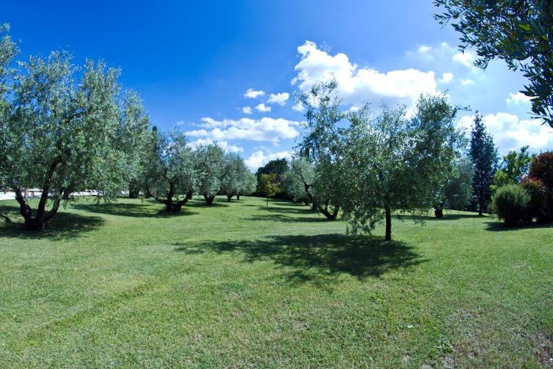 Aldero Hotel - Genel