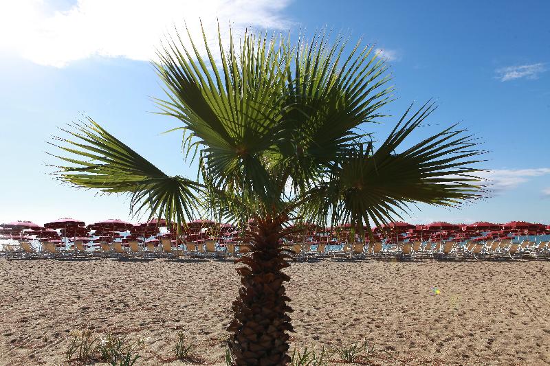 Club Esse Sunbeach - Plaj