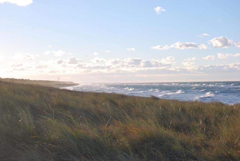 Dünenmeer - Oda