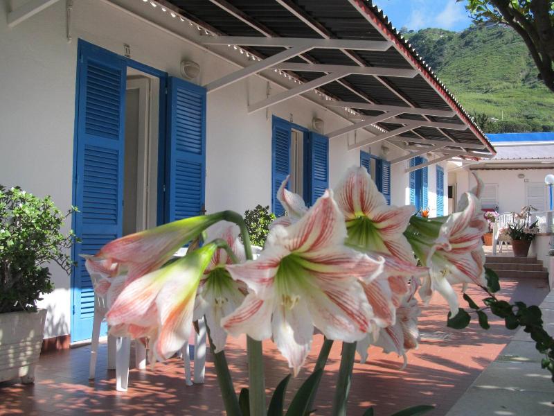 Casa Adolfo - Genel
