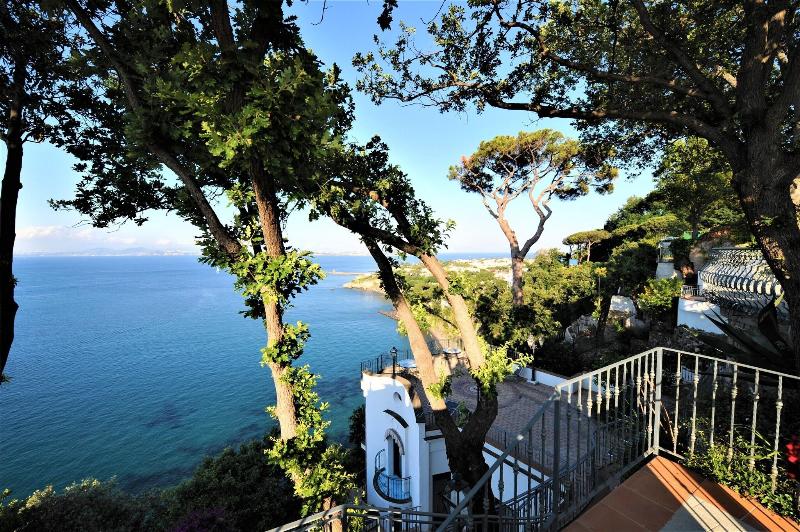 Hotel Myage - Genel
