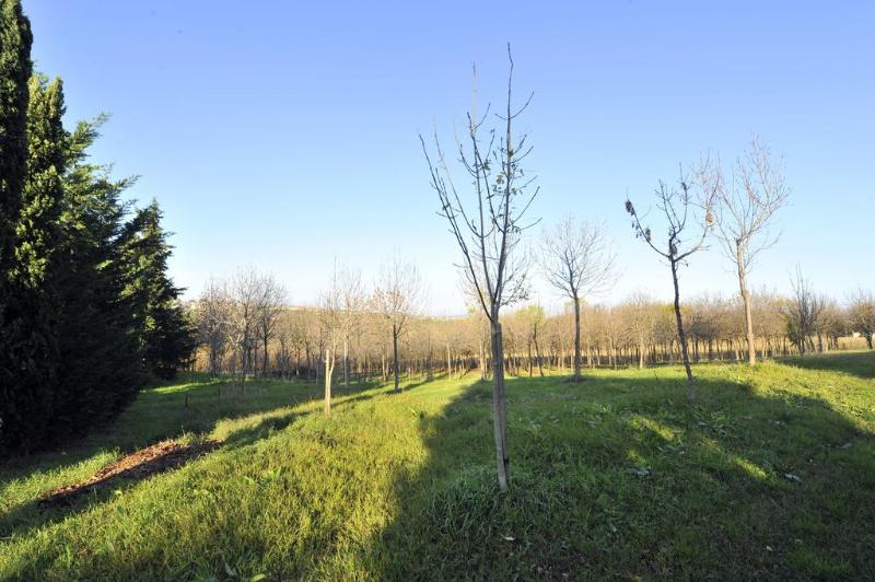 Il Podere del Germano Reale - Genel