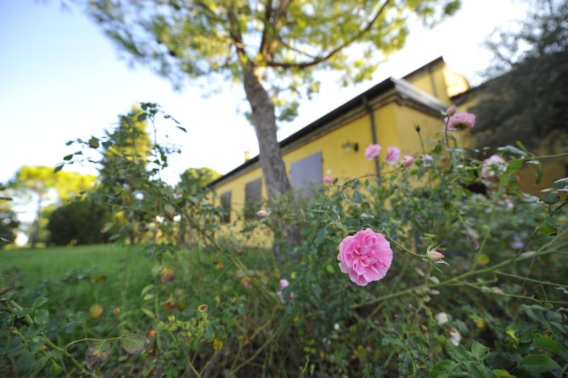 Il Podere del Germano Reale - Oda