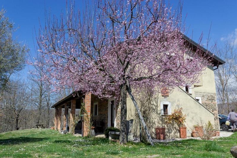 Agriturismo La Rosa Nel Bicchiere - Genel