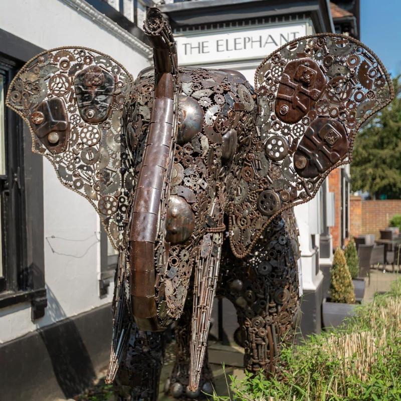 The Elephant - Genel