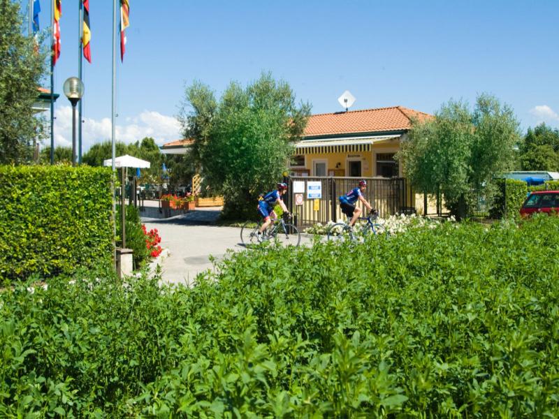 Club del Sole Le Palme Lazise Family Collection - Genel