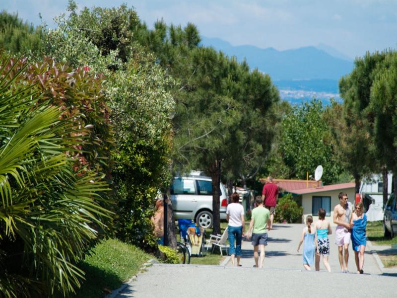 Club del Sole Le Palme Lazise Family Collection - Genel