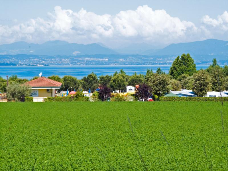 Club del Sole Le Palme Lazise Family Collection - Genel