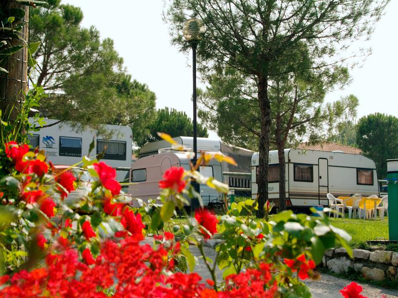 Club del Sole Le Palme Lazise Family Collection - Oda