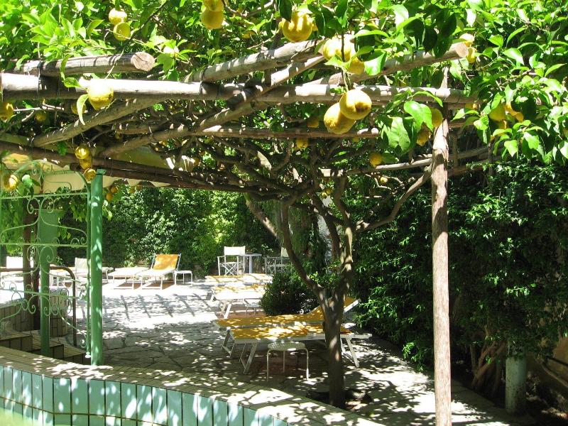 Villa Ciccio - Teras