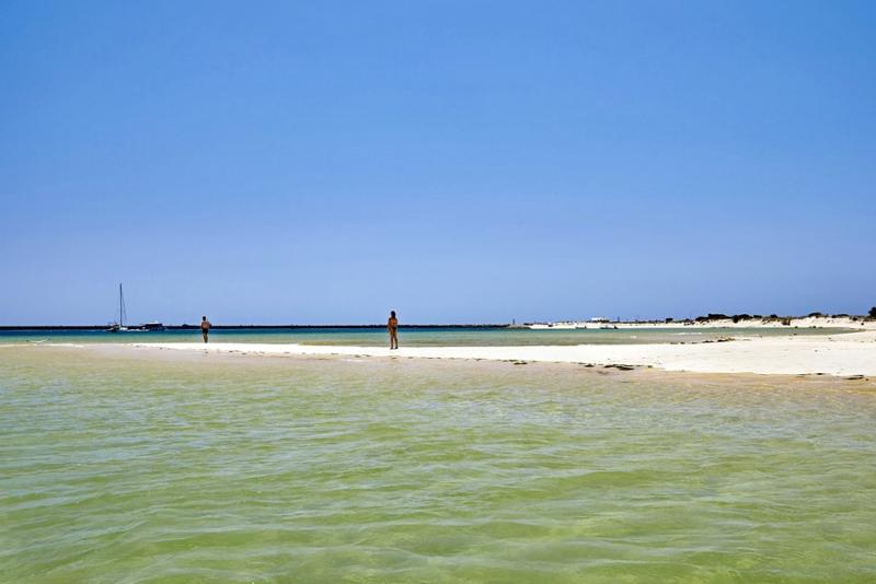 Occidental Faro - Genel