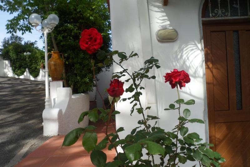 Hotel Park Calitto - Teras
