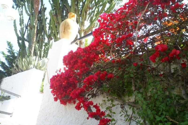 Hotel Park Calitto - Teras