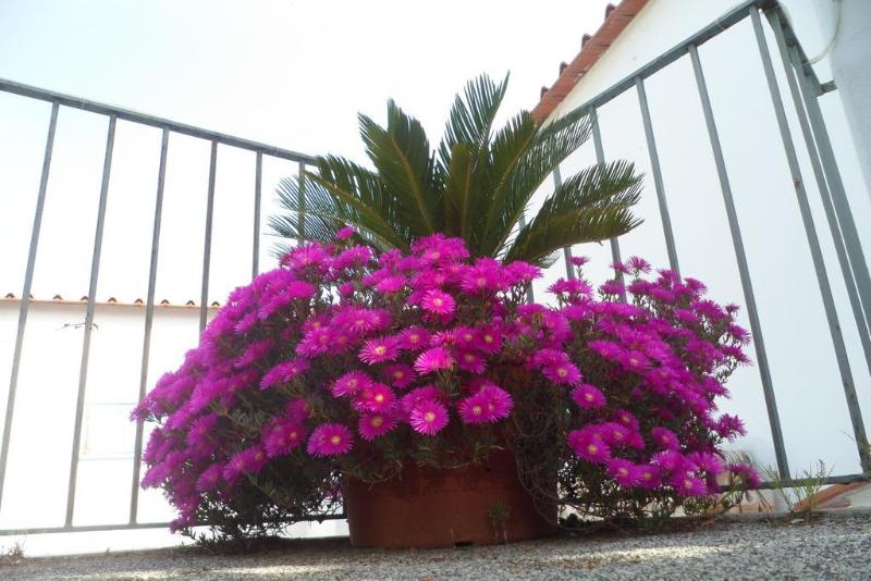 Hotel Park Calitto - Teras