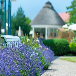 Travel Charme Ostseehotel fotoÄŸrafÄ±