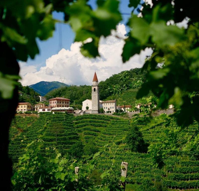 Villa Abbazia - Aktivite