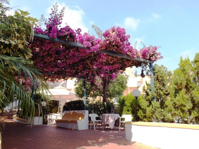 Royal Terme - Genel