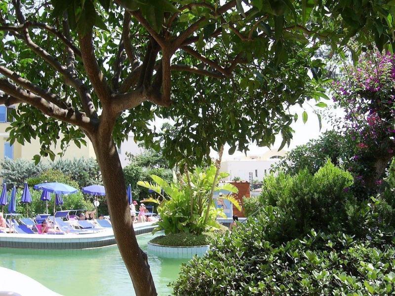 Royal Terme - Genel