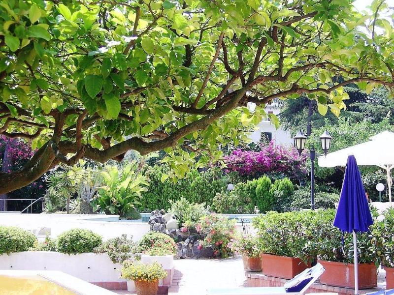 Royal Terme - Genel