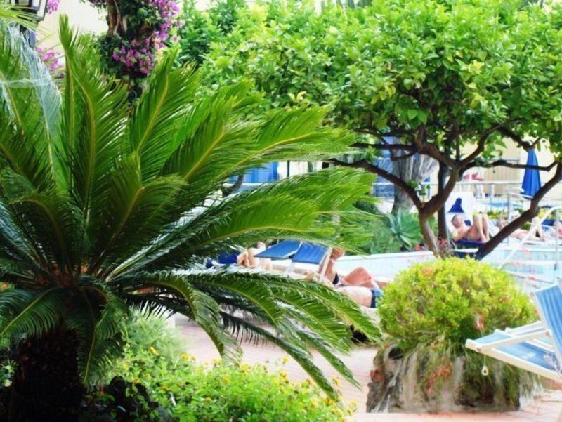 Royal Terme - Genel