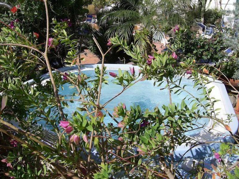 Royal Terme - Havuz